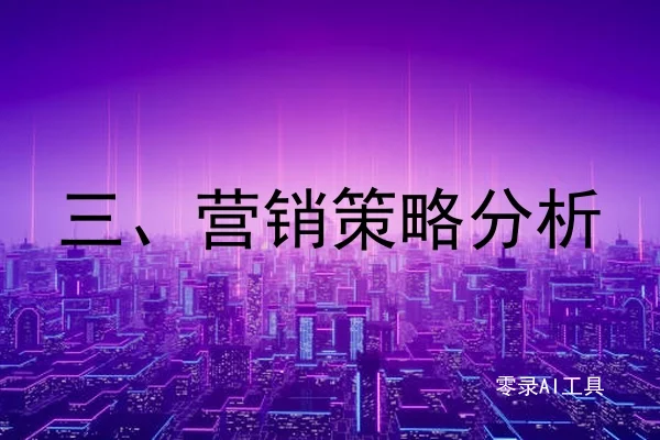 三、营销策略分析